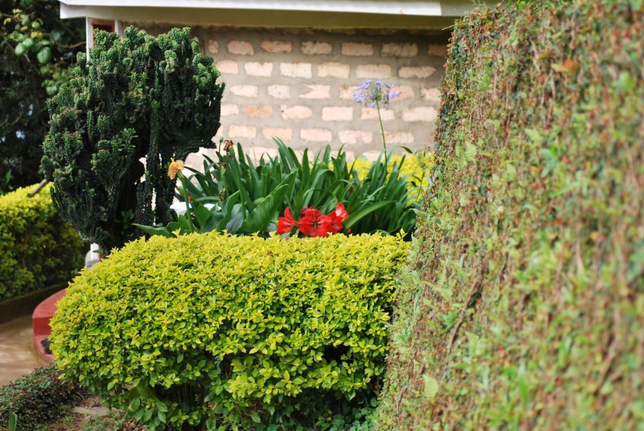 Crater Bay Cottages Kabale Екстериор снимка