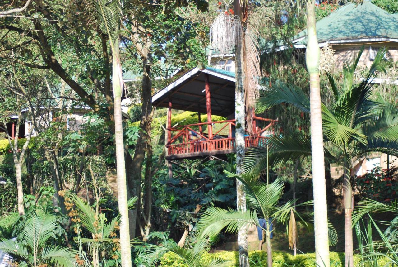Crater Bay Cottages Kabale Екстериор снимка