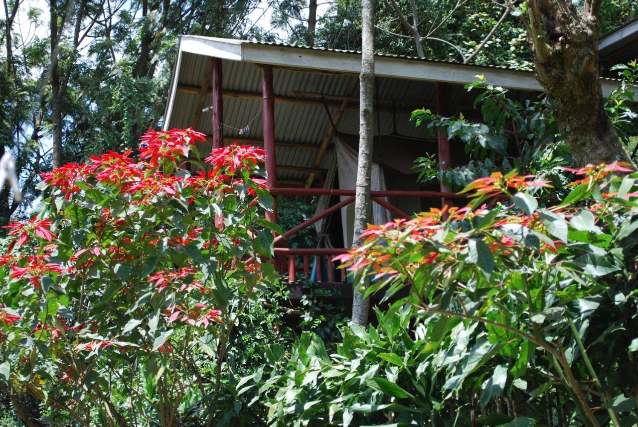Crater Bay Cottages Kabale Екстериор снимка